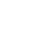 DelaniStudioLogo